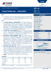 2019年中报点评：产销端多举措显成效，业绩快速增长