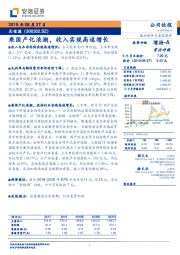 乘国产化浪潮，收入实现高速增长
