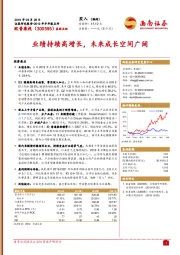 2019年半年报点评：业绩持续高增长，未来成长空间广阔