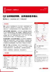 中报点评：Q2业绩略超预期，业绩底部基本确认