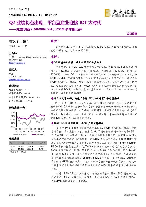2019半年报点评：Q2业绩拐点出现，平台型企业迎接IOT大时代