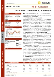 收入大幅增长，毛利率短期承压，长期趋势向好