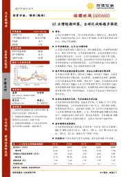 Q2业绩短期回落，全球化战略稳步推进