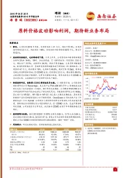 2019半年报点评：原料价格波动影响利润，期待新业务布局