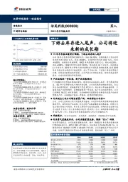 2019年半年报点评：下游去库存进入尾声，公司将迎来新的成长期