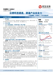 19年中报点评：业绩明显提速，渠道产品双发力