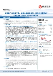 2019年半年报点评:单银幕产出持续下滑,短期业绩改善承压,期待中长期拐点