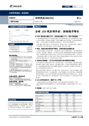 2019年中报：全球LED视显领导者，持续稳步增长