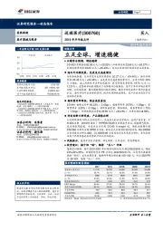 2019年半年报点评：立足全球，增速稳健