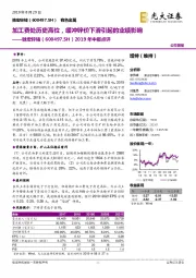 2019年中报点评：加工费处历史高位，缓冲锌价下滑引起的业绩影响