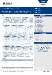2019年中报点评：湿法隔膜快速增长，收购捷力料将巩固龙头地位