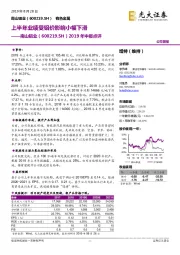 2019年中报点评：上半年业绩受铝价影响小幅下滑