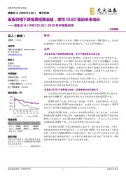 2019年半年报点评:面板价格下跌拖累短期业绩,柔性OLED驱动未来成长
