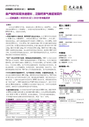 2019年中报点评:自产制剂实现快速增长,泛酸钙景气度逐渐回升
