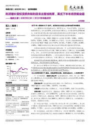 2019年中报点评:利润增长受投资损失和利息支出增加拖累,英氏下半年将贡献业绩