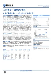 矿金产量稳步提升，金价上行打开业绩空间