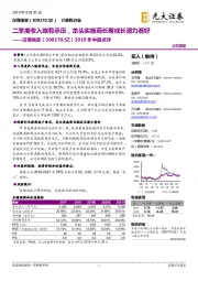 2019年中报点评：二季度收入略有承压，龙头实施商长期成长潜力看好