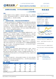 公司点评报告：业绩增长符合预期，下半年扣非利润增长有望加速