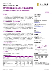 2019年中报点评：燃气销售增长及水价上调，中报业绩超预期