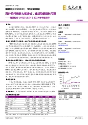 2019年中报点评:海外组件销售大幅增长,业绩稳健增长可期