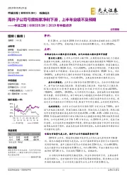 2019年中报点评：海外子公司亏损拖累净利下滑，上半年业绩不及预期