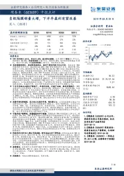 中报点评：负极隔膜销量大增，下半年盈利有望改善