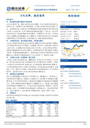 公司深度报告：云化先锋，掘金蓝海