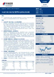 2019年中报点评：大硅片技术迭代有望带来全新成长机遇