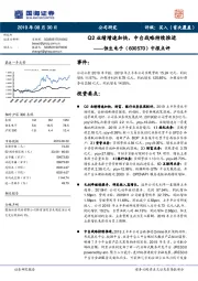 中报点评：Q2业绩增速加快，中台战略持续推进