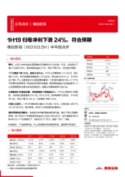 半年报点评：1H19归母净利下滑24%，符合预期