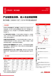 2019年中报业绩点评：产业链壁垒深厚，收入与业绩超预期