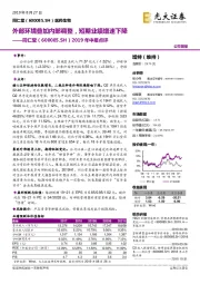 2019年中报点评：外部环境叠加内部调整，短期业绩增速下降