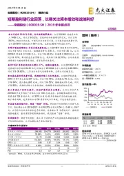 2019年中报点评:短期盈利随行业回落,长期关注降本增效和战略利好