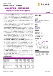 2019半年报点评:上半年业绩仍承压,看好下半年复苏