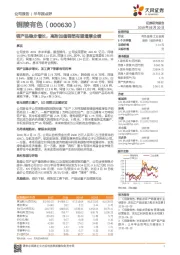 铜产品稳步增长,高附加值铜箔有望增厚业绩