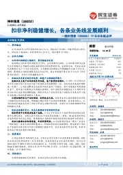 19年半年报点评:扣非净利稳健增长,各条业务线发展顺利