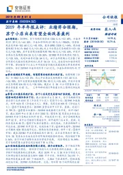 2019年半年报点评：业绩符合预期，苏宁小店出表有望全面改善盈利