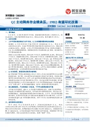 2019半年报点评:Q2主动降库存业绩承压,19H2有望环比改善