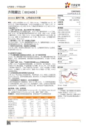 2019H1盈利下滑，公司成长仍可期