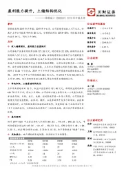 2019年中报点评：盈利能力提升，土储结构优化