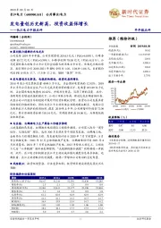 长江电力中报点评：发电量创历史新高，投资收益保增长