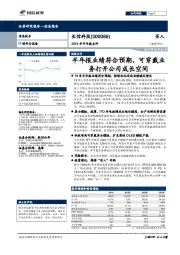 2019年半年报点评：半年报业绩符合预期，可穿戴业务打开公司成长空间