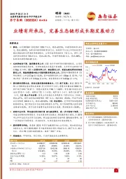 业绩有所承压,完善生态链形成长期发展动力