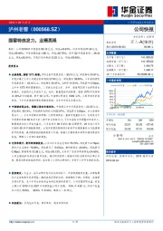 国窖特曲发力，业绩亮眼