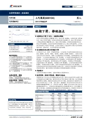 2019年半年报点评：短期下滑，静候拐点