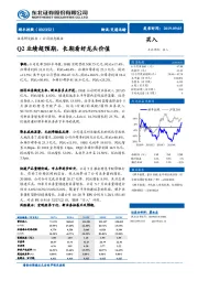 Q2业绩超预期,长期看好龙头价值