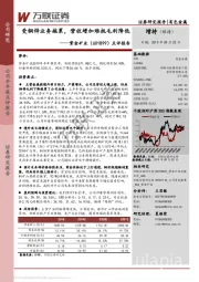 点评报告：受铜锌业务拖累，营收增加难抵毛利降低