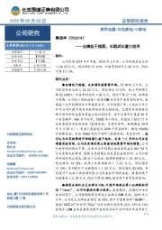 业绩低于预期,长期成长潜力犹存