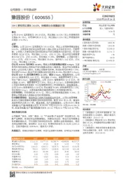 19H1营收同比增长34.62%，持续推出长效激励计划