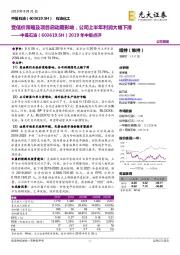 2019年中报点评：受低价策略及项目启动期影响，公司上半年利润大幅下滑